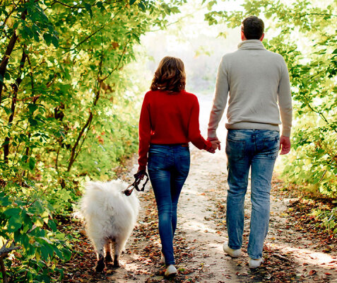 Herbstliche Outdoor-Aktivitäten für Hunde - Halten Sie Ihren Vierbeiner aktiv und gesund - Herbstliche Outdoor-Aktivitäten für Hunde