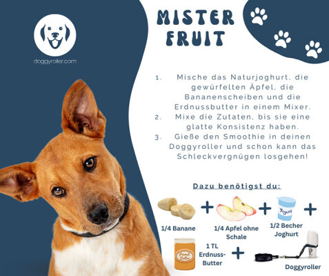 Dog smoothie Mister Fruit - Mister Fruit dog smoothie for your Doggyroller self made