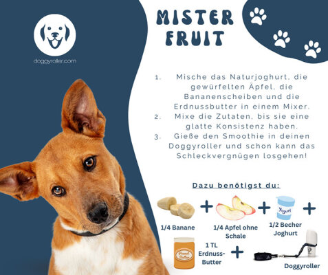 Hundesmoothie Mister Fruit - Mister Fruit Hundesmoothie für den Doggyroller selber machen