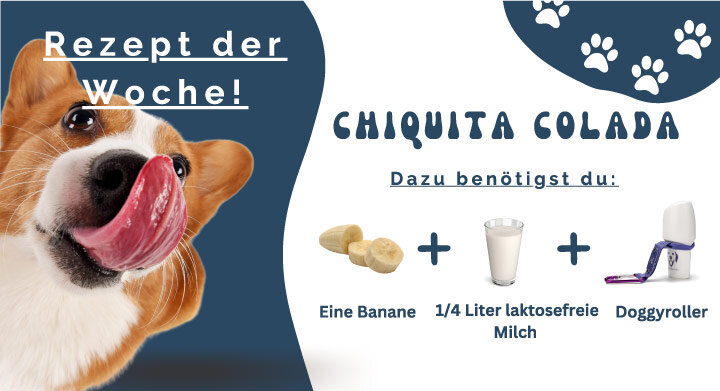 Chiquita Colada - Chiquita Colada - Rezepte für den Doggyroller