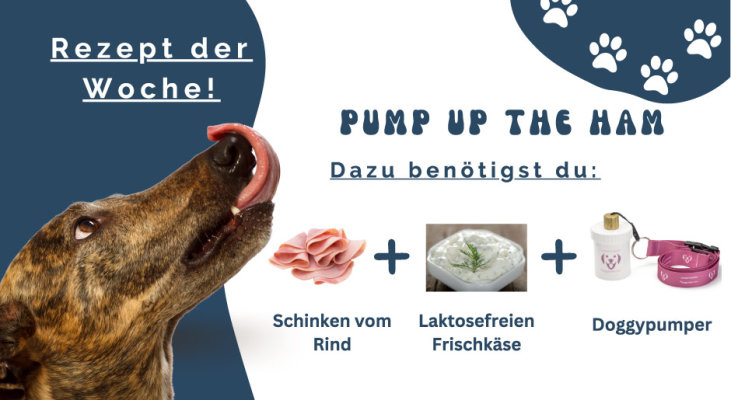 Pump up the ham! - Pump up the ham - Rezept für den Doggypumper