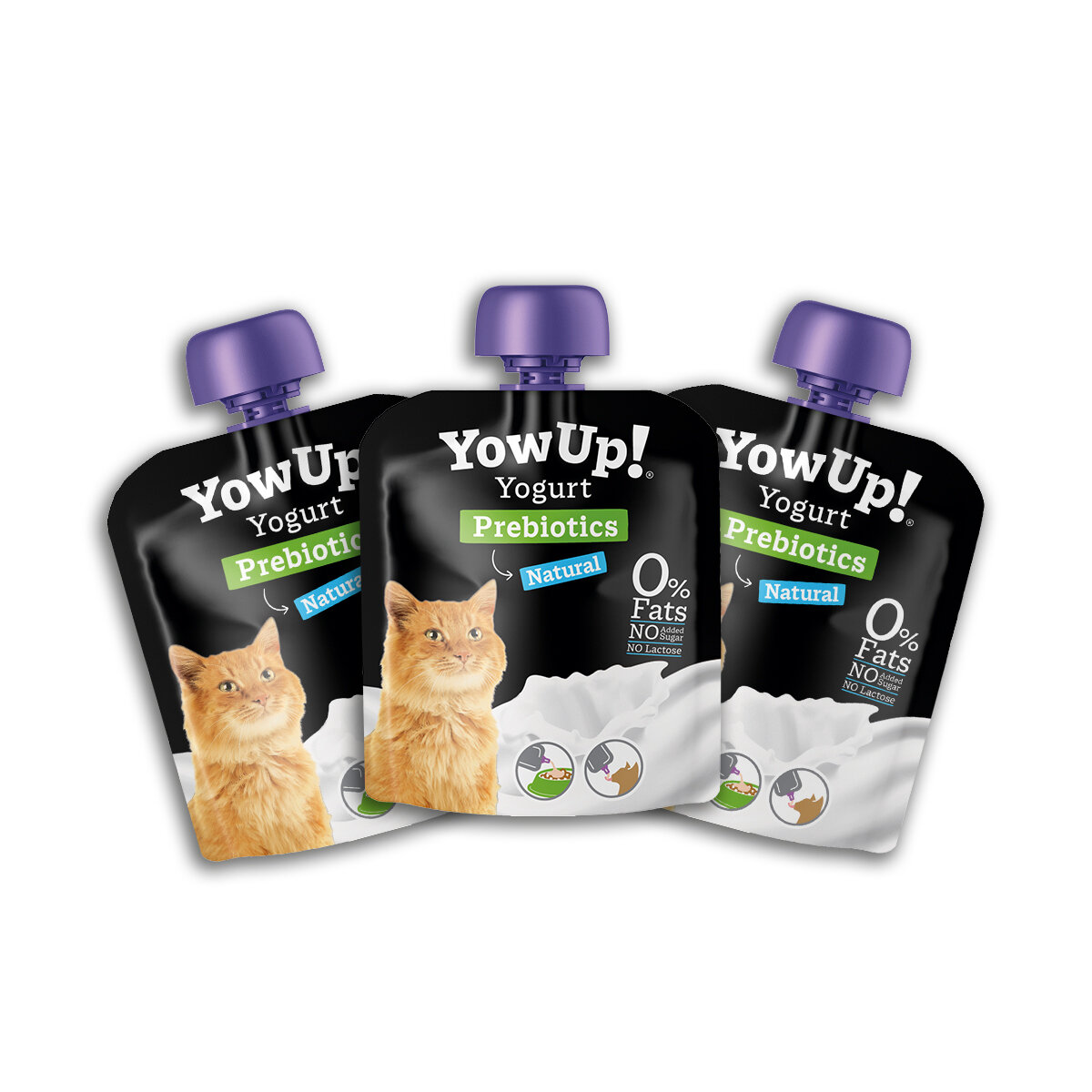 Plain yogurt for cats hotsell