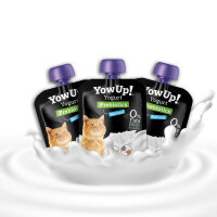 Natural Yogurt for Cats