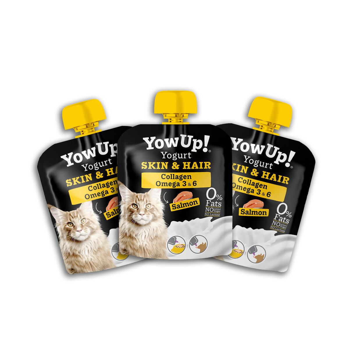 Omega 3 Rich Yogurt for Cats Skin Coat Health YowUp 6 20