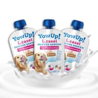 Hunde Joghurt L-Casei Pute (3er Pack)