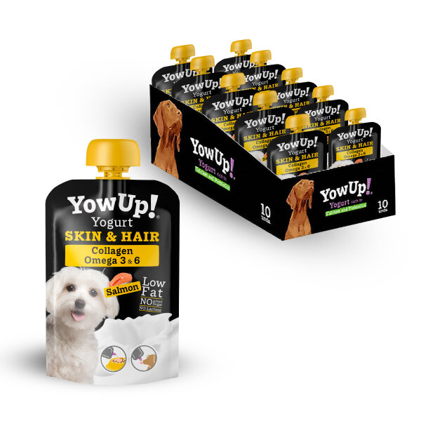 Yogurt Skin & Coat for Dogs (10pcs pack)