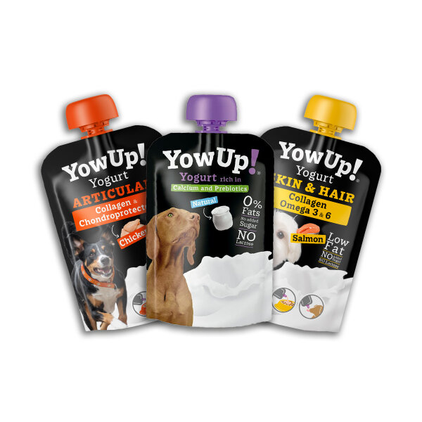 Yogurt Mix for dogs 3pcs pack