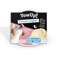 Bacon Cake Yogurt Ice Cream (12pcs pack)