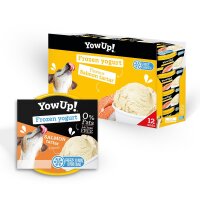 Salmon Tartare Yogurt Ice Cream (12pcs pack)