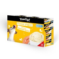 Hunde Eiscreme Joghurt "Lachs-Tartare" (12er Pack)