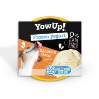 Salmon Tartare Yogurt Ice Cream (12pcs pack)