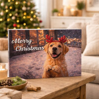 Adventkalender für Hunde – 24 Tage Schwanzwedeln
