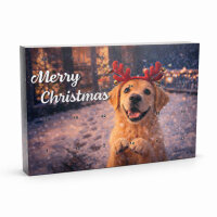Adventkalender für Hunde – 24 Tage Schwanzwedeln