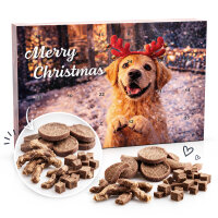 Adventkalender für Hunde – 24 Tage Schwanzwedeln