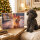 Adventkalender für Hunde – 24 Tage Schwanzwedeln