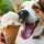 Eiscreme Joghurt "Hot-Dog Cheese" (3er Pack)