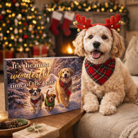 Adventkalender für Hunde – Its the most...