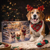 Adventkalender für Hunde – Its the most wonderful time of the year