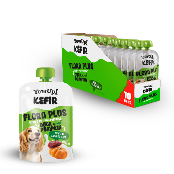 Hunde Joghurt Kéfir Kürbis & Ente (10er Pack)