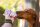 Doggyroller mit Karabinerhalterung lila