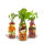 Smoothie Classic Mix 3er Pack je 250ml
