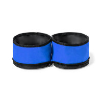 Dogs water and food bowl blue